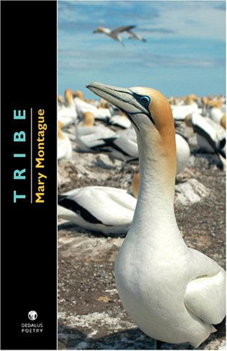 Cover for Mary Montague · Tribe (Paperback Book) (2008)