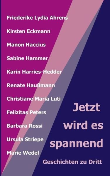 Cover for Renate Haußmann (Hg) · Jetzt wird es spannend (Paperback Book) (2020)