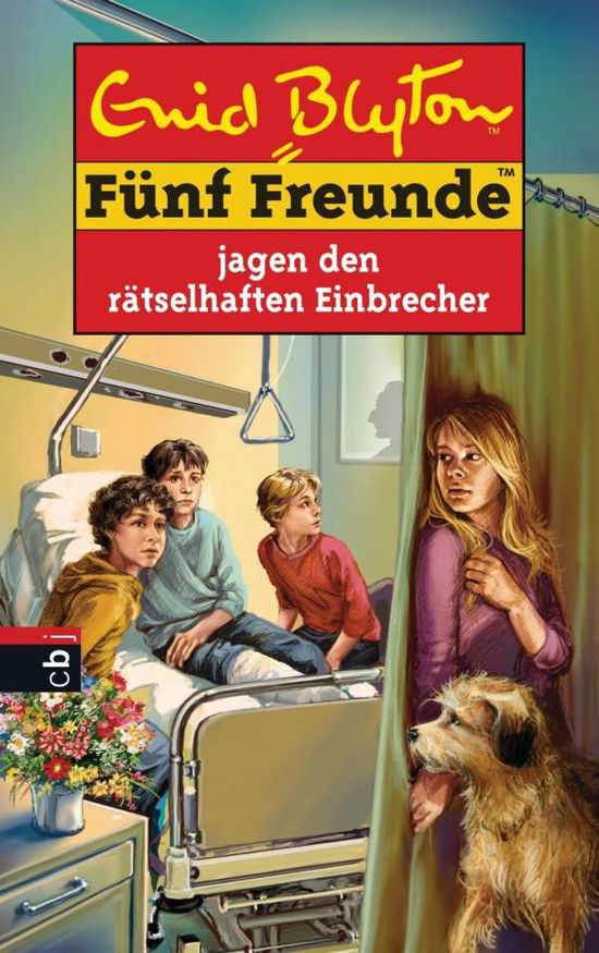 Cover for Enid Blyton · FÃ¼nf Fr.59 RÃ¤tselh.einbrecher (Book)