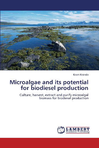 Cover for Kisan Koirala · Microalgae and Its Potential for Biodiesel Production: Culture, Harvest, Extract and Purify Microalgal Biomass for Biodiesel Production (Taschenbuch) (2013)