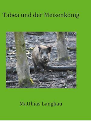 Cover for Matthias Langkau · Tabea und der Meisenkönig (Hardcover Book) (2021)