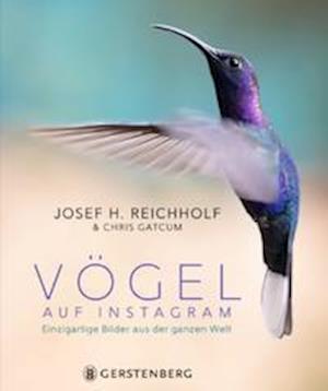 Cover for Josef H. Reichholf · Vögel auf Instagram (Hardcover Book) (2021)