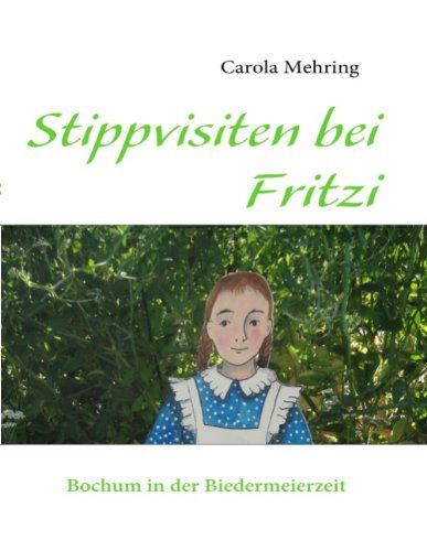 Cover for Carola Mehring · Stippvisiten Bei Fritzi (Paperback Book) [German edition] (2010)