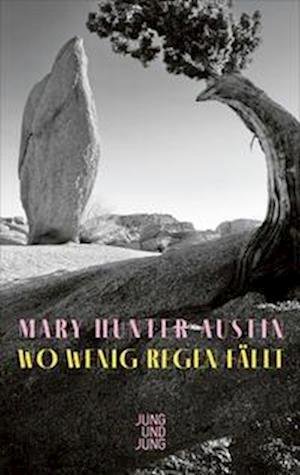 Cover for Mary Hunter Austin · Wo wenig Regen fällt (Bok) (2023)