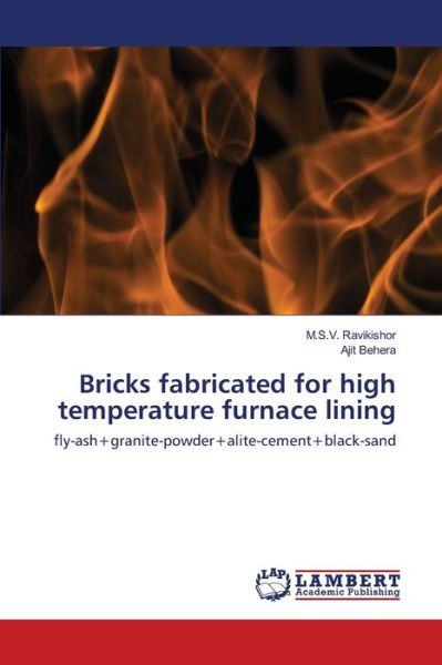 Cover for Ravikishor · Bricks fabricated for high t (Book) (2020)