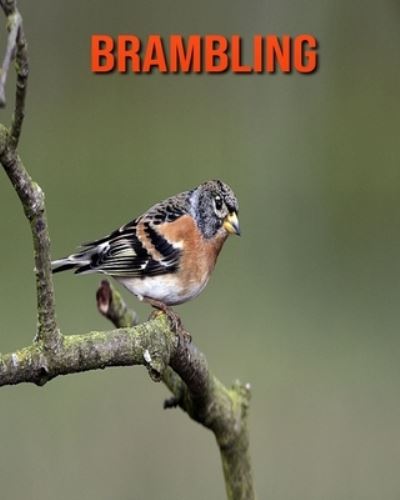 Brambling - William Doyle - Books - Independently Published - 9798694538770 - October 6, 2020