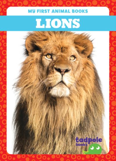 Cover for Natalie Deniston · Lions - My First Animal Books (Hardcover Book) (2024)