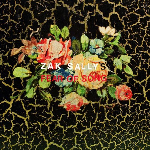 Cover for Zak Sally's Fear Of Song · Why We Hide (LP) (2009)
