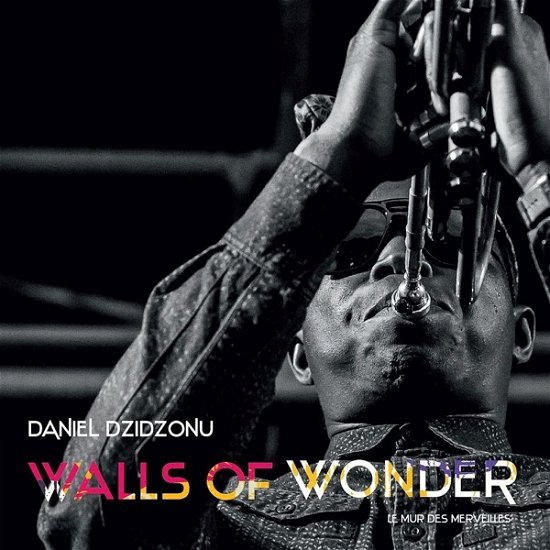 Daniel Dzidzonu · Walls Of Wonder (LP) (2019)