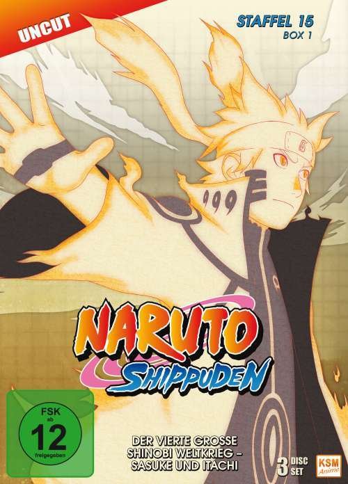 Cover for N/a · Naruto Shippuden - Staffel 15 - Box 1 [3 DVDs] (DVD) (2016)