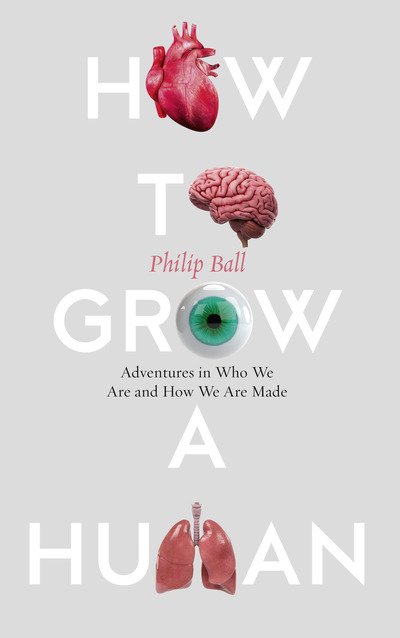 Cover for Philip Ball · How to Grow a Human: Adventures in Who We are and How We are Made (Inbunden Bok) (2019)