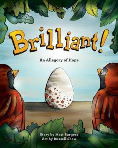 Cover for Matt B Burgess · Brilliant! An Allegory of Hope (Paperback Book) (2015)