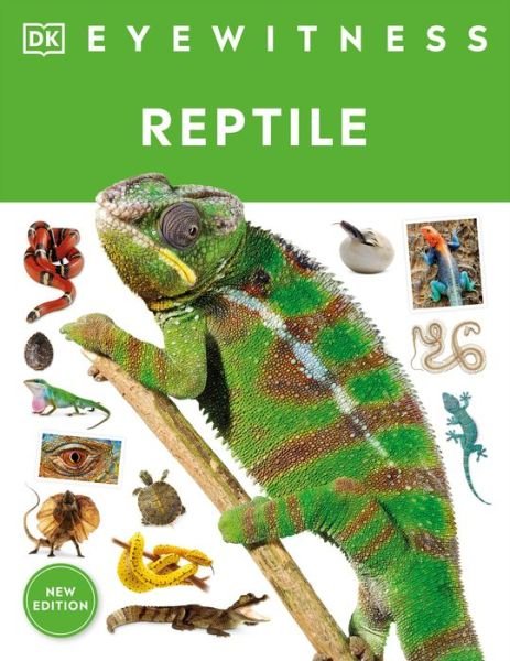 Cover for Dk · Eyewitness Reptile (Book) (2023)