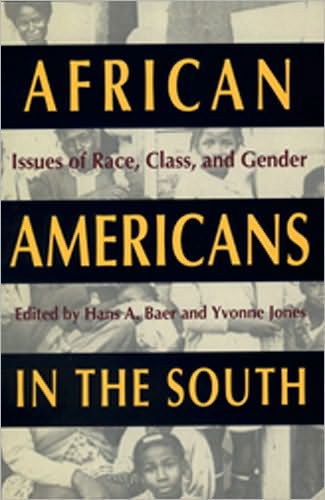 Cover for Hans a Baer · African Americans in the South: Issues of Race, Class, and Gender (Paperback Book) (1992)