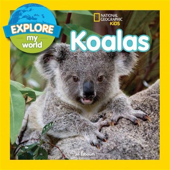 Cover for Jill Esbaum · Explore My World Koalas - Explore My World (Paperback Book) (2015)
