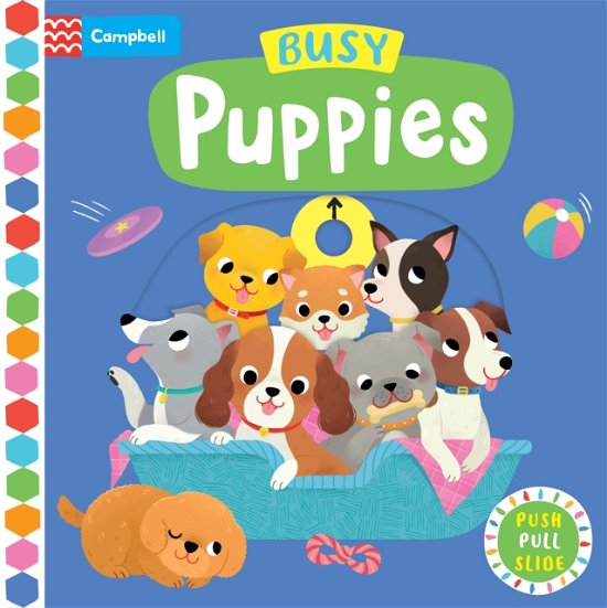Cover for Campbell Books · Busy Puppies - Campbell Busy Books (Tavlebog) (2022)
