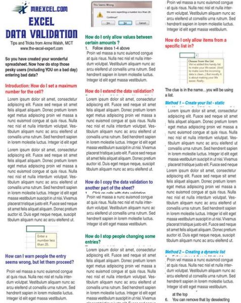 Excel Data Validation Tip Card - Anne Walsh - Książki - Holy Macro! Books - 9781615479771 - 1 lipca 2015