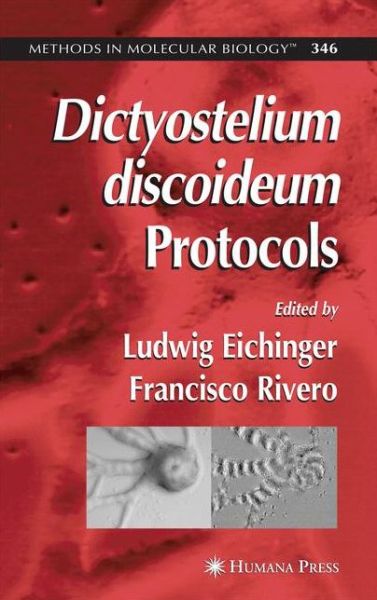 Cover for Ludwig Eichinger · Dictyostelium discoideum Protocols - Methods in Molecular Biology (Paperback Book) [Softcover reprint of hardcover 1st ed. 2006 edition] (2010)