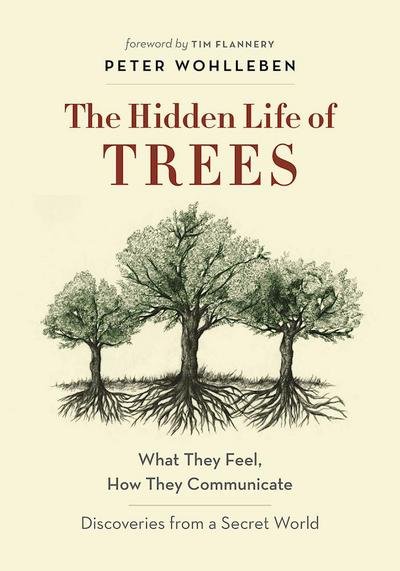 Cover for Peter Wohlleben · Hidden Life of Trees (Buch) (2023)