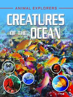 Cover for Michael Leach · Creatures of the Ocean (Paperback Book) (2019)