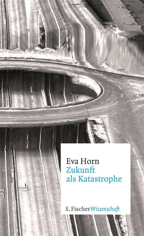 Cover for Horn · Zukunft als Katastrophe (Book)