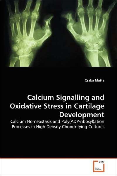 Calcium Signalling and Oxidative Stress in Cartilage Development: Calcium Homeostasis and Poly (Adp-ribosyl)ation Processes in High Density Chondrifying Cultures - Csaba Matta - Livres - VDM Verlag Dr. Müller - 9783639307771 - 7 décembre 2010