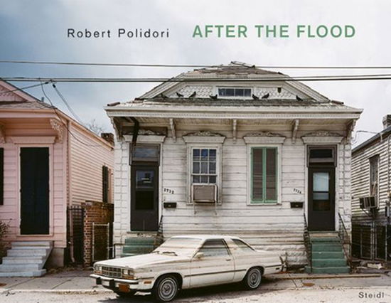 Robert Polidori: After the Flood - Jeff L. Rosenheim - Books - Steidl Publishers - 9783865212771 - October 9, 2006