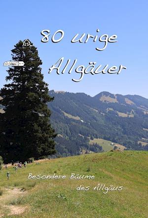 80 urige Allgäuer - M. Knes Harald - Books - didactus - 9783941567771 - December 10, 2022