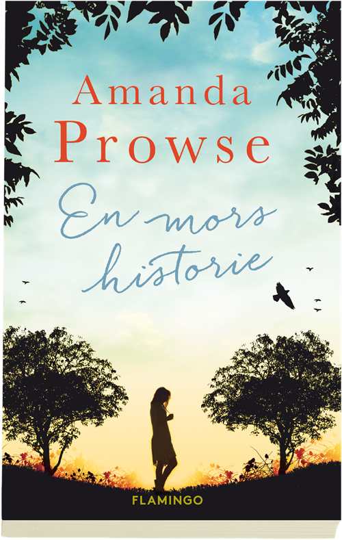 Cover for Amanda Prowse · En mors historie (Bound Book) [1st edition] (2016)