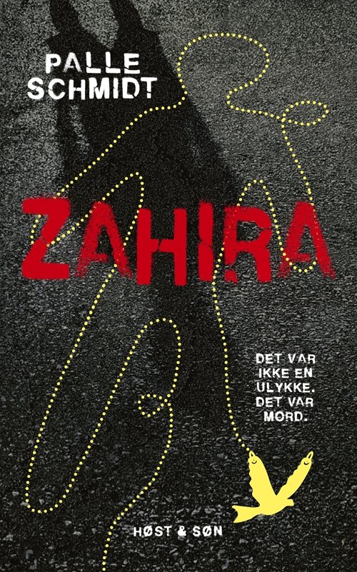 Cover for Palle Schmidt · Zoom On: Zahira (Hæftet bog) [1. udgave] (2018)