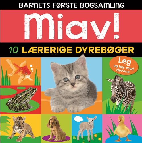 Miav - 10 lærerige dyrebøger (Barnets første bogsamling) -  - Livres - Alvilda - 9788771659771 - 6 mars 2018