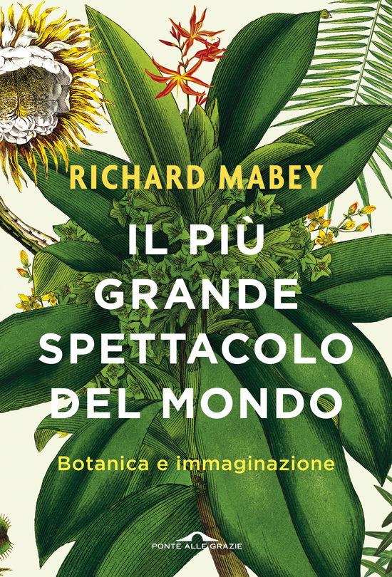 Cover for Richard Mabey · Il Piu Grande Spettacolo Del Mondo. Botanica E Immaginazione (Book)