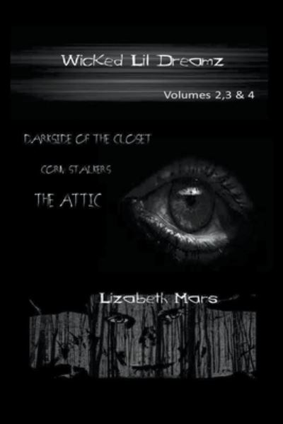 Cover for Lizabeth Mars · Wicked LIl Dreamz (Paperback Book) (2022)