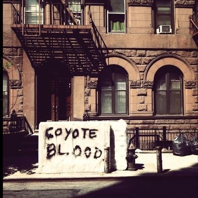 Cover for Ryan Buynak · Coyote Blood Will Kill / Love You (Paperback Book) (2021)