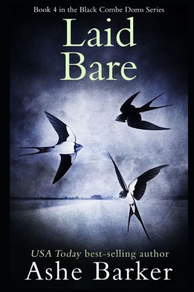 Laid Bare - Ashe Barker - Books - Independently Published - 9798610339771 - February 9, 2020