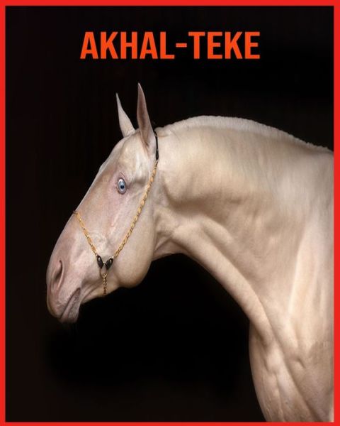 Cover for Alicia Moore · Akhal-Teke (Paperback Book) (2021)