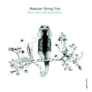 Cover for Modular String Trio · Modular String Trio - Ants Bees &amp; Butterflies (spa) (CD) (2016)
