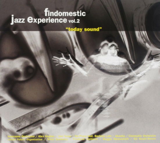 Cover for Compilation · Findomestic Jazz Experience Vol. 2 (CD) (2000)