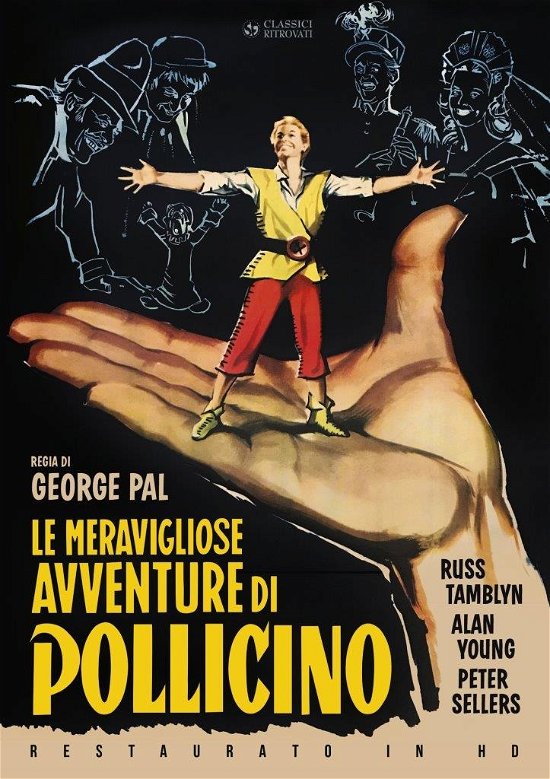Cover for Meravigliose Avventure Di Poll · Le Meravigliose Avventure Di Poll. (DVD) (2021)