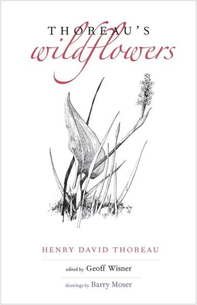 Cover for Henry David Thoreau · Thoreau's Wildflowers (Hardcover Book) (2016)