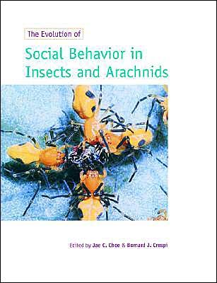 Cover for Jae C Choe · The Evolution of Social Behaviour in Insects and Arachnids (Paperback Book) (1997)