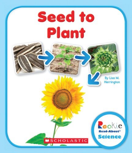 Cover for Lisa M. Herrington · Seed to Plant (Rookie Read-About Science: Life Cycles) - Rookie Read-About Science: Life Cycles (Pocketbok) (2014)