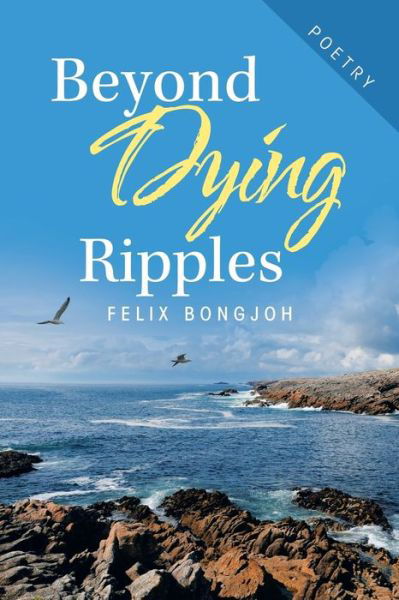 Cover for Felix Bongjoh · Beyond Dying Ripples (Taschenbuch) (2019)