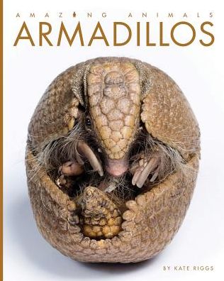 Cover for Kate Riggs · Armadillos (Hardcover Book) (2018)