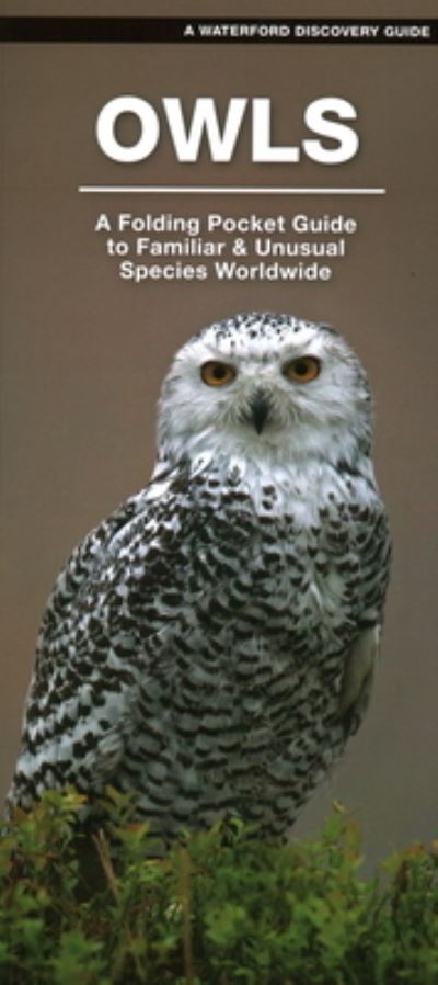 Cover for James Kavanagh · Owls: A Folding Pocket Guide to Familiar Species Worldwide - Waterford Discovery Guide (Pamphlet) (2021)