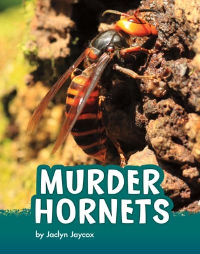 Cover for Jaclyn Jaycox · Murder Hornets (Hardcover bog) (2022)