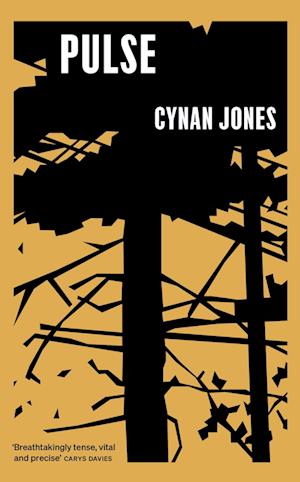 Cover for Cynan Jones · Pulse (Hardcover Book) (2025)