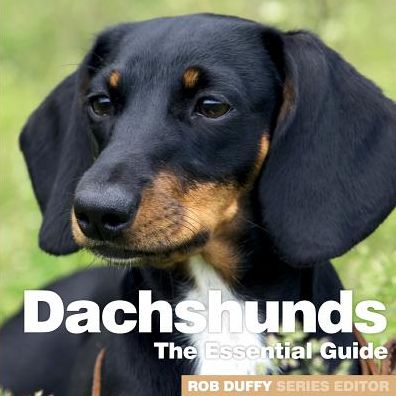 Cover for Robert Duffy · Dachshunds: The Essential Guide (Paperback Book) (2019)