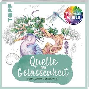 Cover for Amelie Persson · Colorful World - Quelle der Gelassenheit (Bok) (2023)