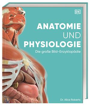 Cover for Alice Roberts · Anatomie und Physiologie (Bok) (2023)